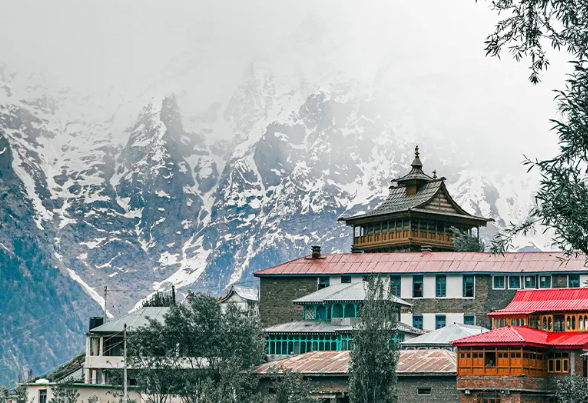 Medicorp Himachal Pradesh