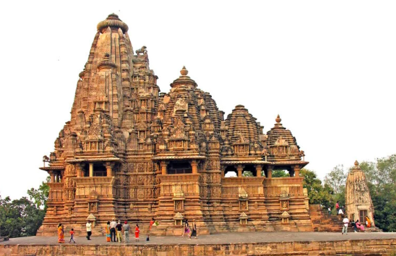 Medicorp Madhya Pradesh